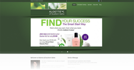 Web Design for Aloette of Southern Idaho
